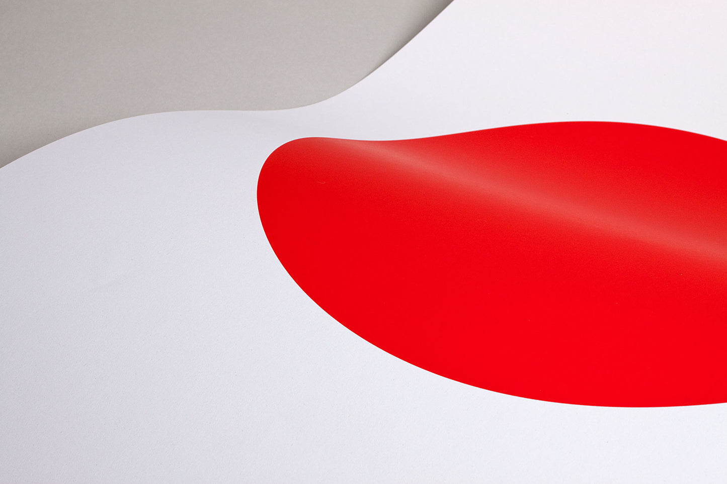 Scale Series - Mars screen print by Build - picture 7